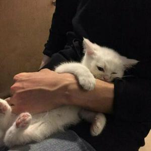 婆媳双飞3电视剧在线播放
