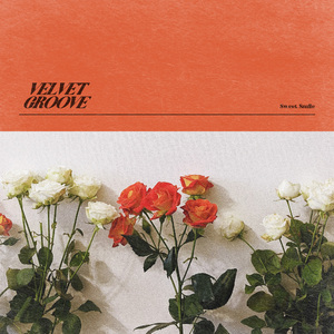 婆媳双飞3电视剧在线播放
